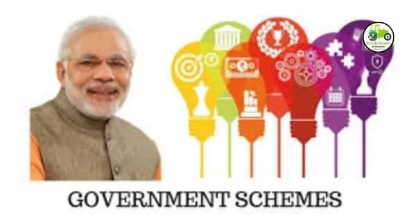 Government Schemes: शेतमालाची परदेशात निर्यातीसाठी समुद्रमार्गे वाहतुक योजना; पहा सरकार किती देत आहे अनुदान?