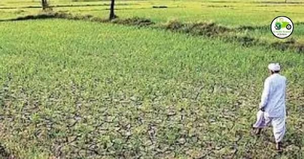 राज्यातील दुष्काळग्रस्त तालुक्यांची यादी जाहीर