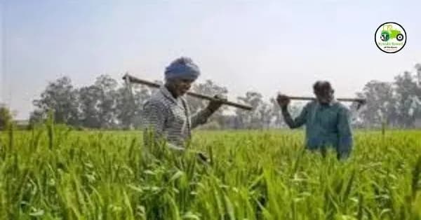 PM किसानचा हप्ता जमा झाला नाही तर येथे तक्रार करा