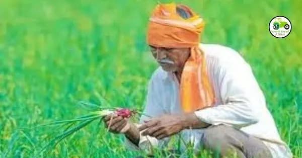 PM Kisan : पीएम किसानचा हप्ता जमा झाला कि नाही? या सोप्या पद्धतीने तपासा
