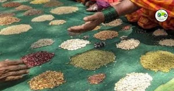 Bogus Seeds : बोगस बियाण्यांच्या विक्रीत थेट हस्तक्षेप असल्यास विक्रेत्यांवर होणार कारवाई - धनंजय मुंडे