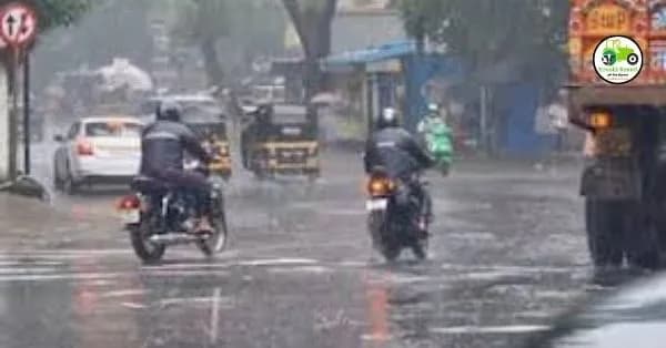 Weather Alert : उद्यापासून राज्यात जोरदार पावसाचा 'येलो अलर्ट'