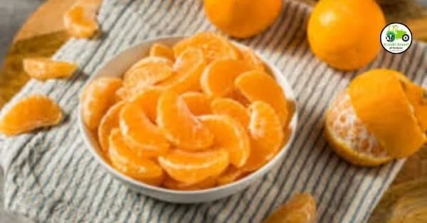 Orange Rate : सध्या संत्र्याच्या दरात चांगलीच सुधारणा