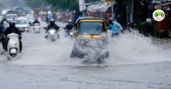 Weather Forcast : राज्यात आजही गारपिटीसह वादळी पावसाचा इशारा