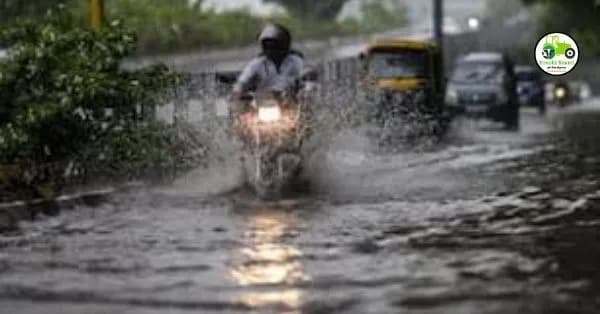 Weather update : राज्याच्या अनेक भागात आजही मुसळधार पाऊस, उद्या कसे राहील हवामान?