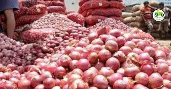 Onion Market : जुन्या कांद्याचे दर 5,500 रुपये, तर नवा कांदा 4,500 रुपयांवर