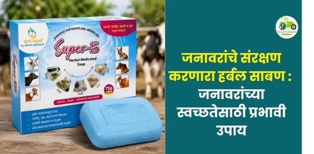 हर्बल मेडिकेटेड सोप : जनावरांच्या स्वच्छतेसाठी आणि परजीवी नियंत्रणासाठी प्रभावी उपाय