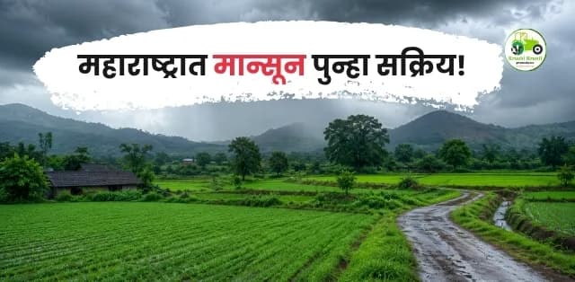 महाराष्ट्रात मान्सून पुन्हा सक्रिय!
