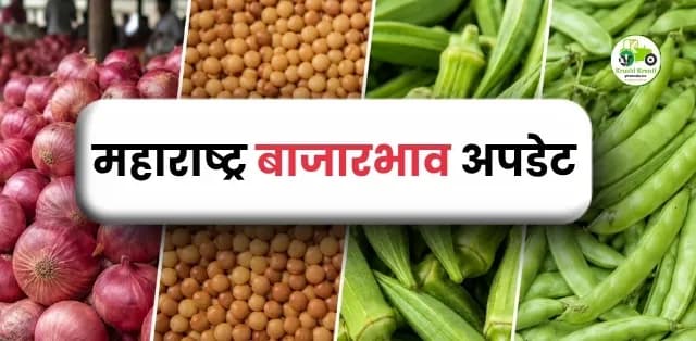 महाराष्ट्र बाजारभाव अपडेट 22 जून 2026