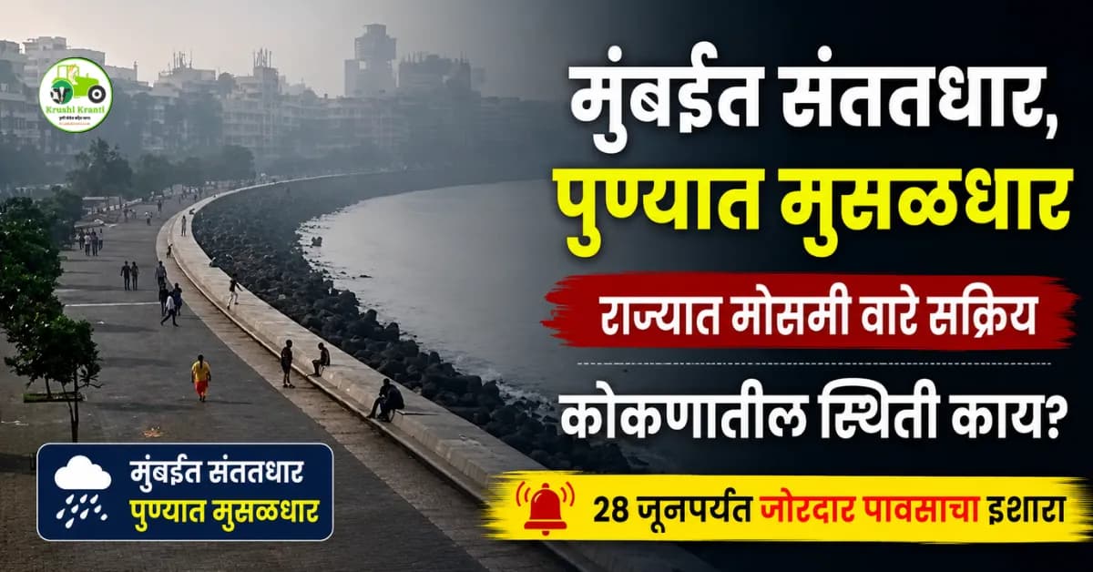 मुंबईत संततधार, पुण्यात मुसळधार; राज्यात मोसमी वारे सक्रिय, 28 जूनपर्यंत जोरदार पावसाचा इशारा
