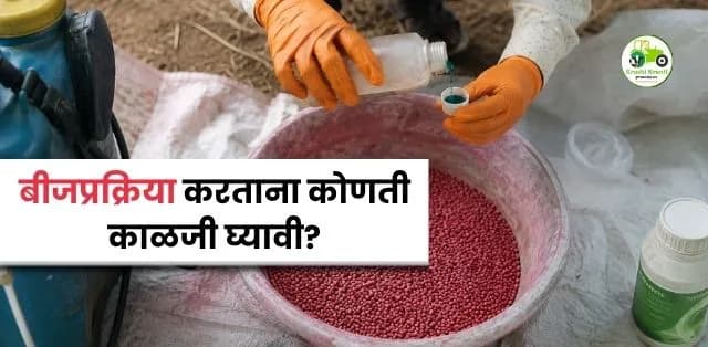 बीजप्रक्रिया करताना कोणती काळजी घ्यावी?