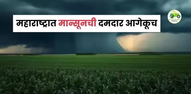 महाराष्ट्रात मान्सूनची दमदार आगेकूच; मुंबई, विदर्भासह राज्यभर पावसाचा जोर वाढणार