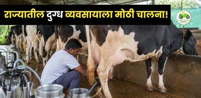 राज्यातील दुग्ध व्यवसायाला मोठी चालना!