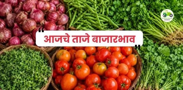 महाराष्ट्र बाजारभाव अपडेट 2 जुलै 2026: कांदा, टोमॅटो, गवार, मेथी आणि कोथिंबिरीचे आजचे ताजे बाजारभाव