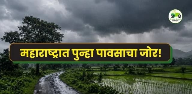 महाराष्ट्रात पुन्हा पावसाचा जोर! संकष्टी ते पालखी प्रस्थानदरम्यान 'या' जिल्ह्यांत मुसळधार पावसाची शक्यता