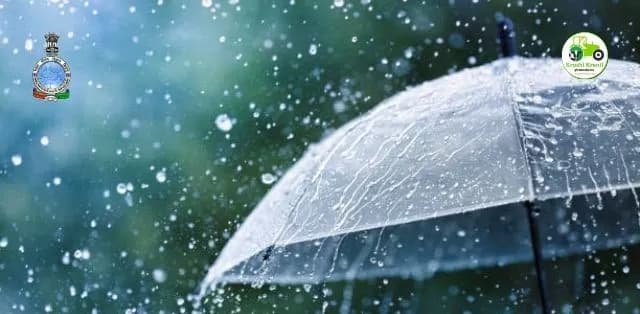 IMD चा 15 दिवसांचा मोठा हवामान इशारा! महाराष्ट्रात 15 जुलैपर्यंत मुसळधार पावसाची शक्यता; शेतकऱ्यांनी घ्यावी विशेष काळजी