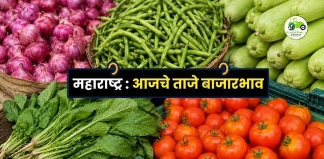 महाराष्ट्र बाजारभाव अपडेट (3 जुलै 2026): कांदा, टोमॅटो, गवार, दुधी भोपळा आणि पालकचे आजचे ताजे बाजारभाव