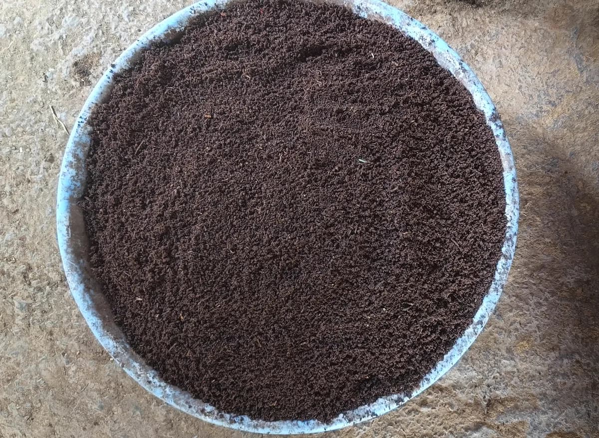 गुरूकृपा गांडूळखत निर्मिती प्रकल्प उमरगा