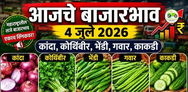 महाराष्ट्र बाजारभाव अपडेट (4 जुलै 2026): कांदा, कोथिंबीर, भेंडी, गवार आणि काकडीचे आजचे ताजे बाजारभाव