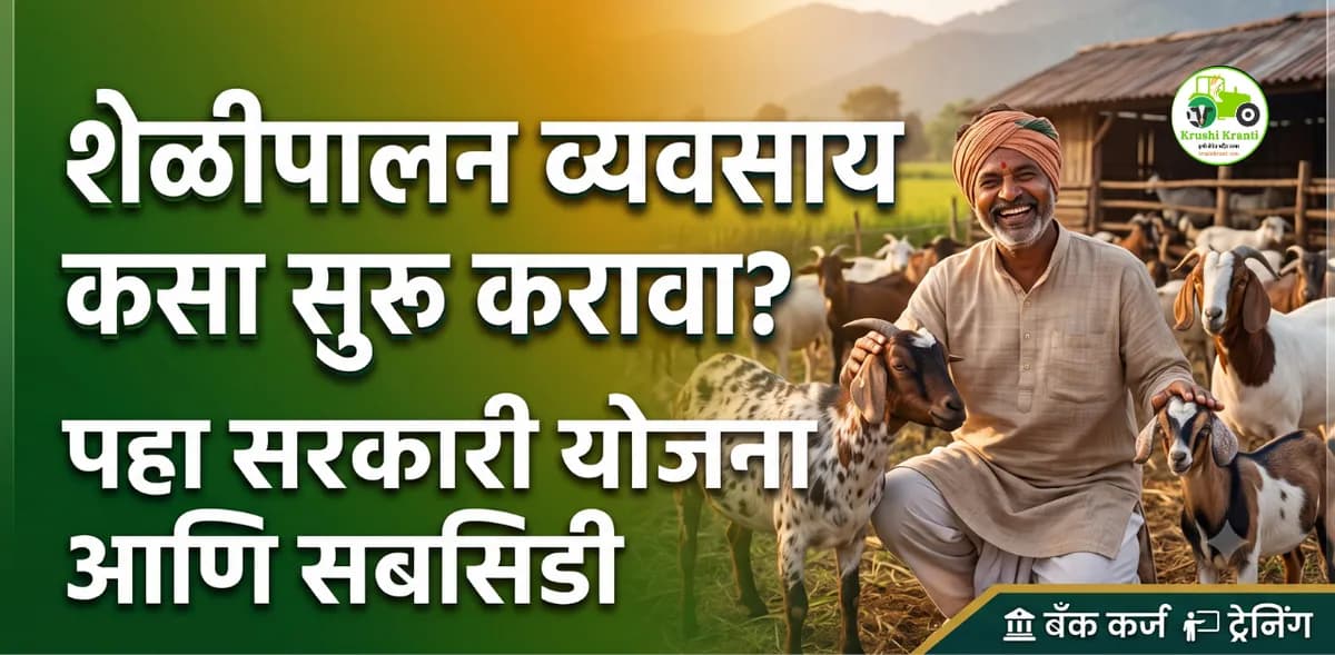 शेळीपालन व्यवसाय कसा सुरू करावा? पहा सरकारी योजना आणि ५०% पर्यंत मिळणारे अनुदान!