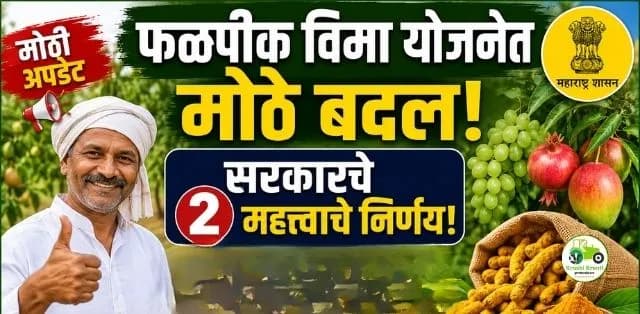 फळपीक विमा योजनेत मोठा बदल! सरकारचे दोन महत्त्वाचे निर्णय; हळद उत्पादकांनाही मिळणार विम्याचा लाभ