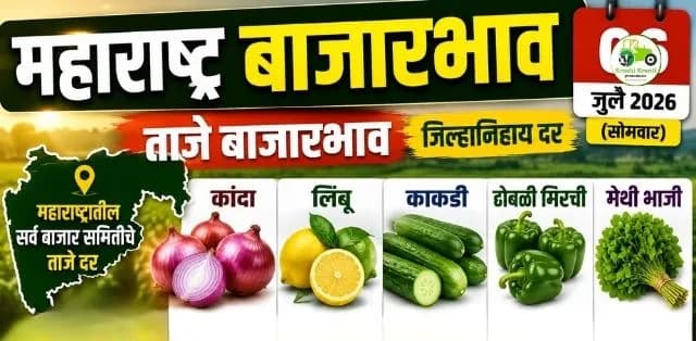 महाराष्ट्र बाजारभाव ६ जुलै २०२६: कांद्याच्या दरात सुधारणा; लिंबू, ढोबळी मिरची आणि मेथीला चांगला भाव