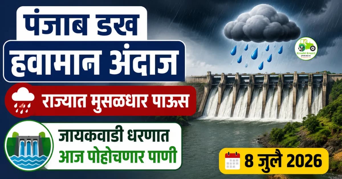पंजाब डख हवामान अंदाज: राज्यात मुसळधार पाऊस आणि जायकवाडी धरणात आज पोहोचणार पाणी