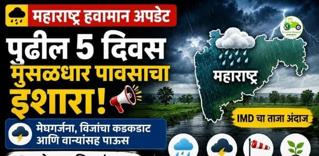 पुढील ५ दिवस राज्यात पावसाचा जोर कायम! कोणत्या जिल्ह्यांना मेघगर्जनेसह मुसळधार पावसाचा इशारा?