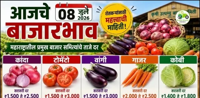 कांदा, टोमॅटो, वांगी, गाजर आणि कोबीच्या दरात चढ-उतार; कोणत्या बाजारात मिळाला सर्वोच्च भाव?