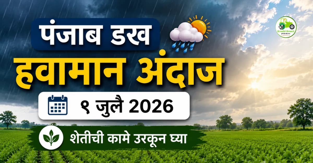 पंजाब डख हवामान अंदाज (९ जुलै): राज्यात पावसाची विश्रांती, शेतीची कामे उरकून घेण्याचे आवाहन