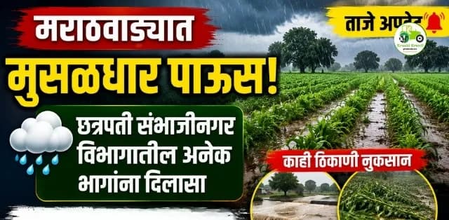 मराठवाड्यात मुसळधार पावसाची हजेरी; छत्रपती संभाजीनगर विभागातील अनेक भागांना दिलासा, काही ठिकाणी नुकसान