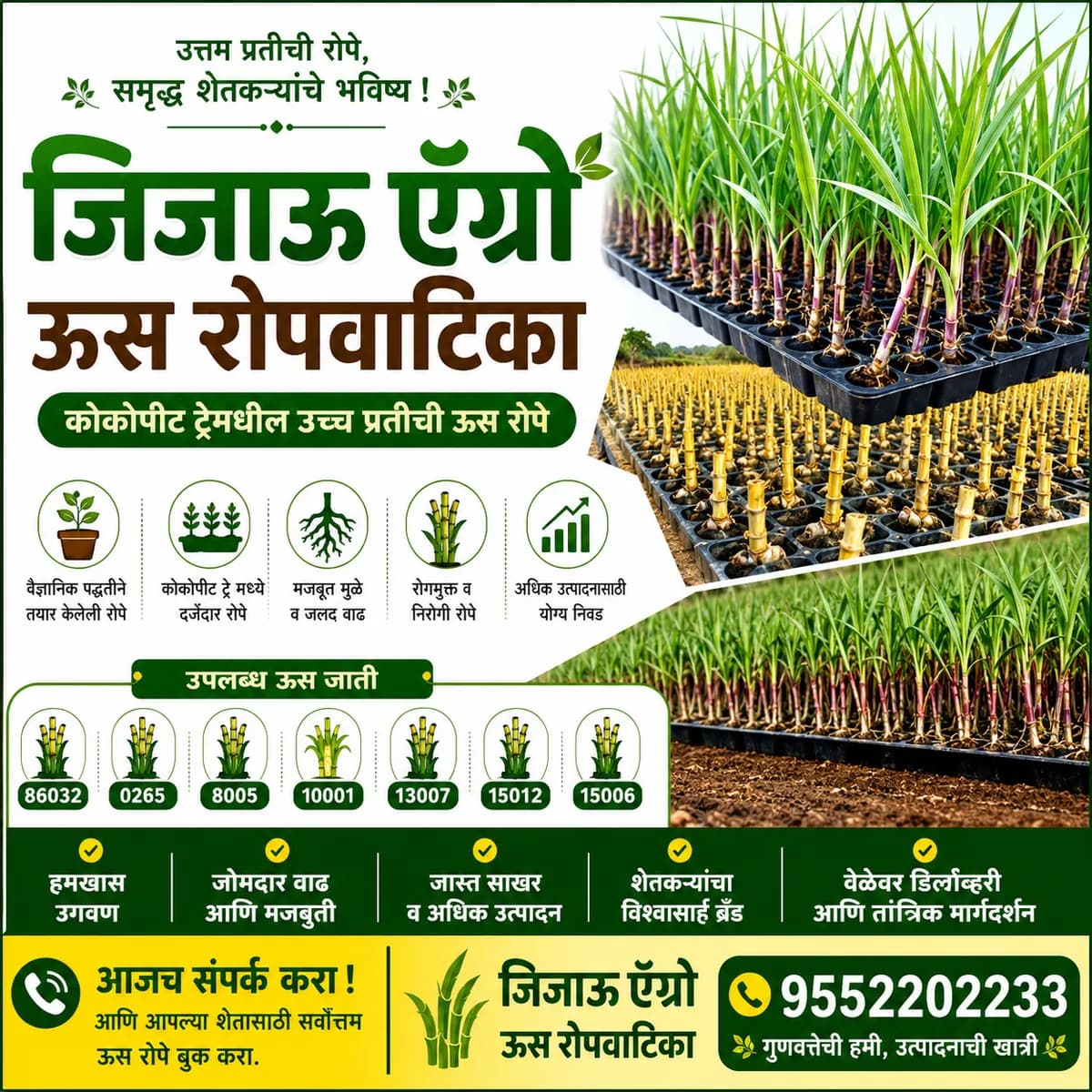जिजाऊ ऍग्रो ऊस रोपवाटिका