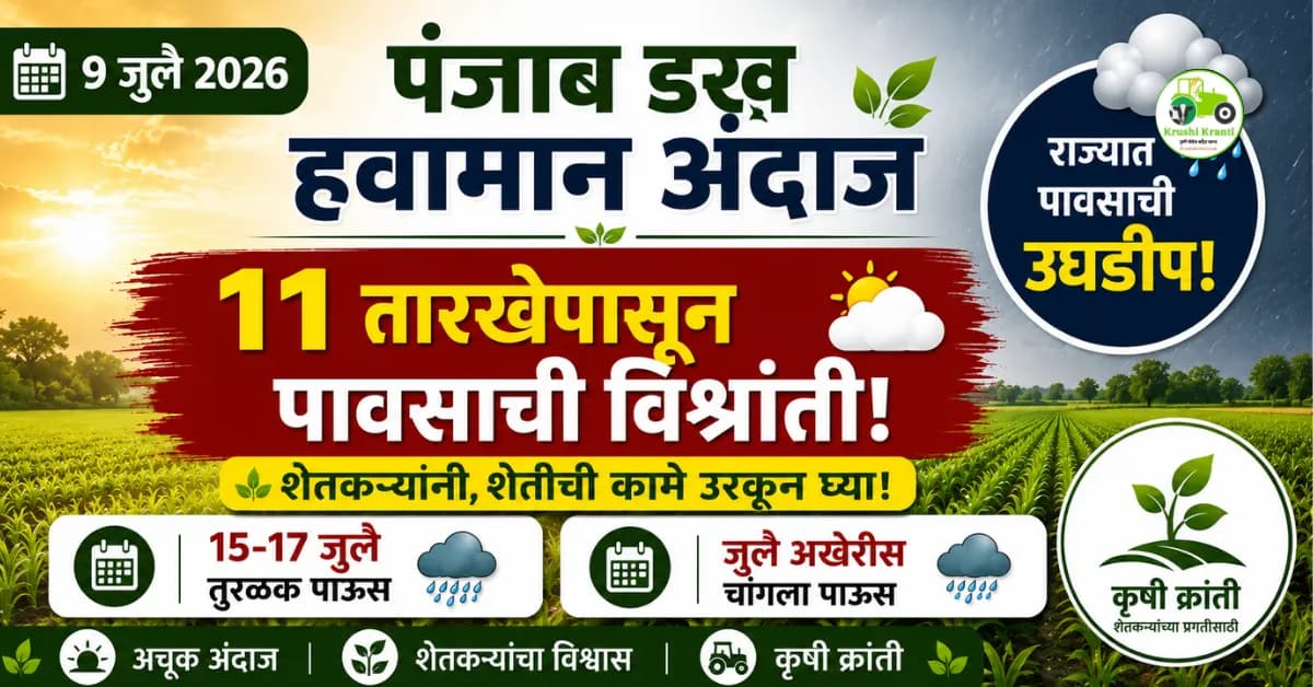 पंजाब डख हवामान अंदाज: ११ तारखेपासून पावसाची उघडीप, शेतकऱ्यांनो शेतीची कामे उरकून घ्या!