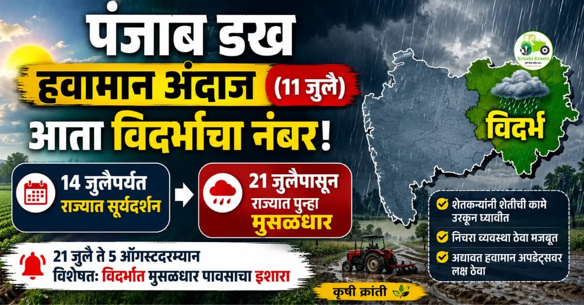 पंजाब डख हवामान अंदाज (११ जुलै): आता विदर्भाचा नंबर! २१ जुलैपासून राज्यात पुन्हा मुसळधार