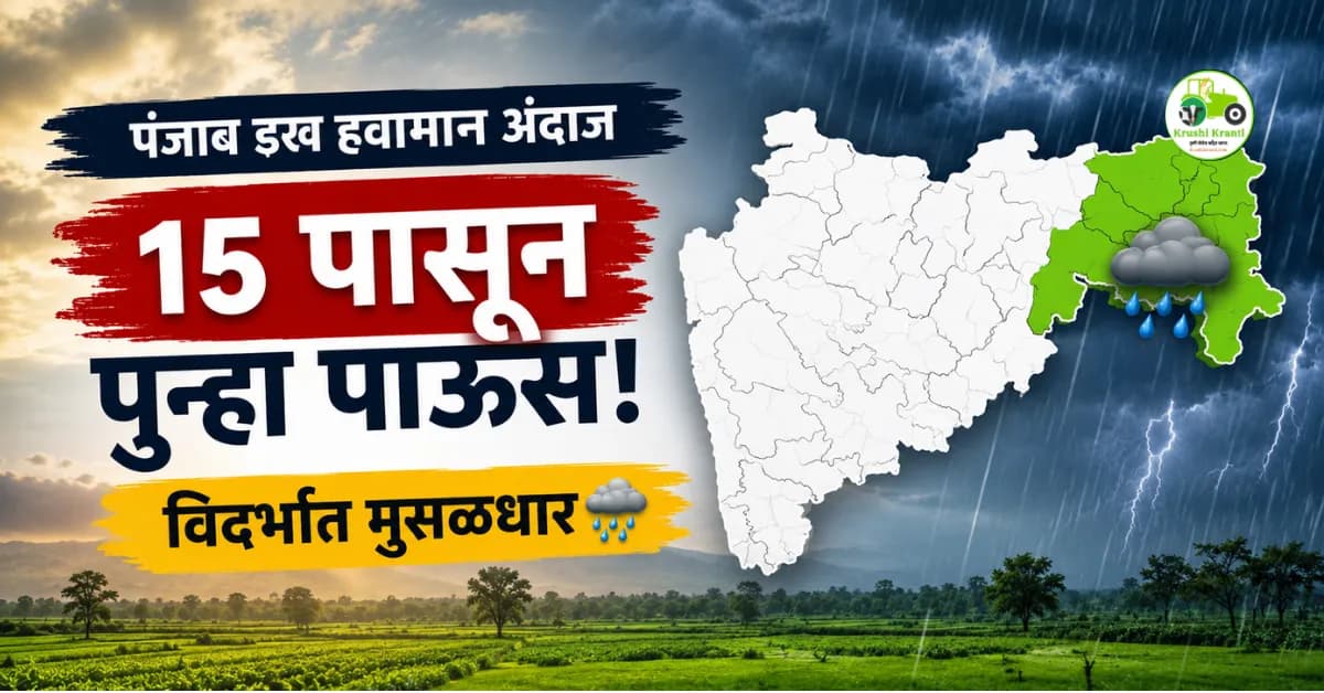 पंजाब डख हवामान अंदाज (१३ जुलै): पावसाची उघडीप संपणार! १५ पासून पुन्हा पाऊस, विदर्भात मुसळधार