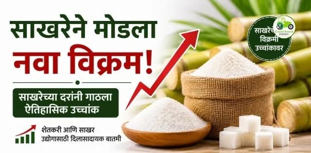 साखरेने मोडला नवा विक्रम! साखर कारखान्यांच्या इतिहासात प्रथमच दरांनी गाठला उच्चांक