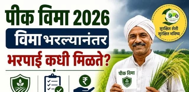 पीक विमा भरल्यानंतरही भरपाई मिळेल का? शेतकऱ्यांनी कोणत्या गोष्टी लक्षात ठेवाव्यात?
