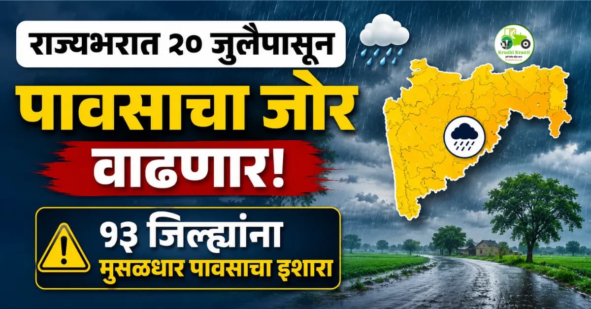 राज्यभरात २० जुलैपासून पावसाचा जोर वाढणार: १३ जिल्ह्यांना मुसळधार पावसाचा इशारा