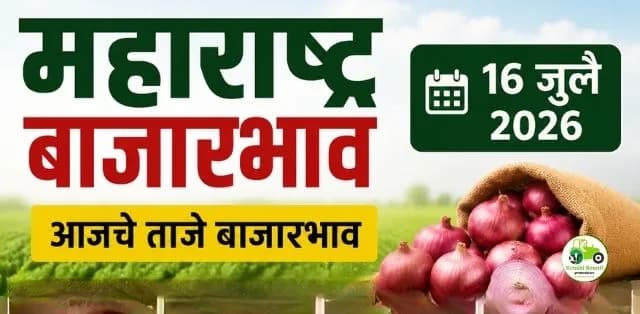 कांदा, कारली, मेथी आणि गवारच्या दरात चढ-उतार; आजचे ताजे बाजारभाव जाणून घ्या