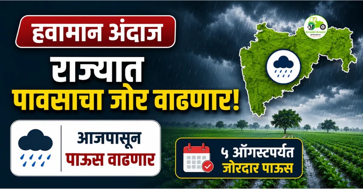 पंजाब डख हवामान अंदाज (१६ जुलै): राज्यात आजपासून पावसाचा जोर वाढणार, ५ ऑगस्टपर्यंत सर्वत्र जोरदार पाऊस