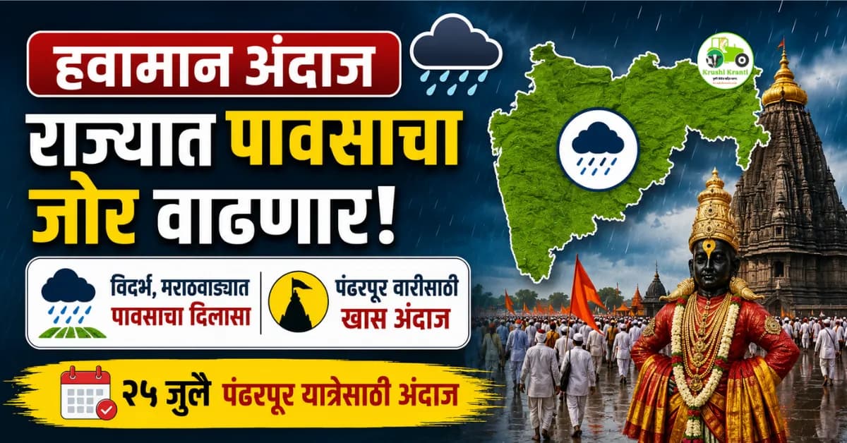 राज्यात पावसाचा जोर वाढणार, पंढरपूर आषाढी वारीसाठी खास अंदाज