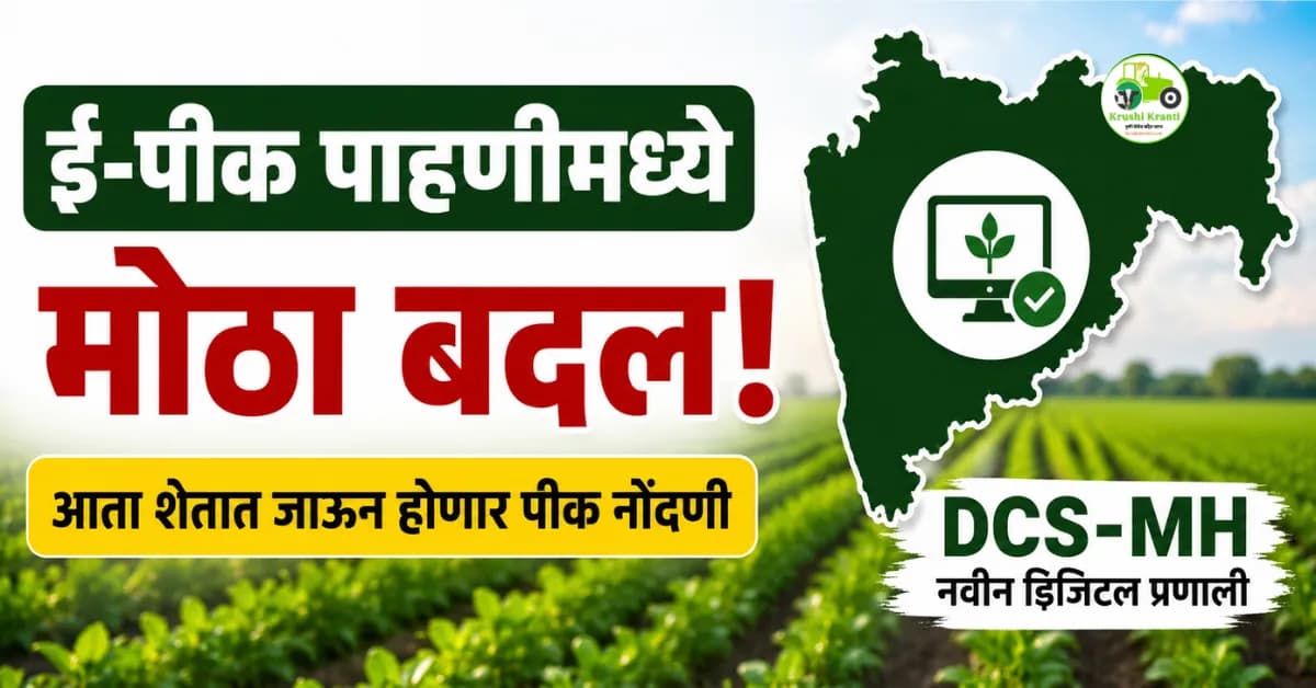 ई-पीक पाहणीमध्ये मोठा बदल! आता शेतकरी स्वतः पीक नोंदणी करणार नाही; जाणून घ्या नवीन DCS-MH प्रणाली