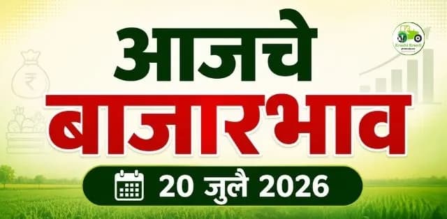 कांदा, कोथिंबीर, ढोबळी मिरची, कोबी आणि भेंडीचे ताजे दर
