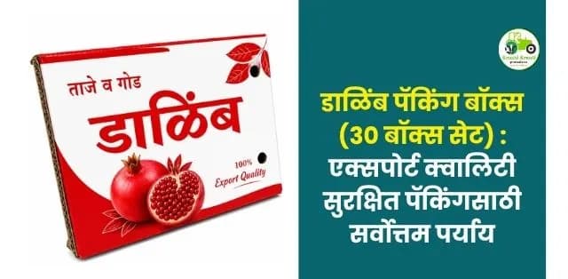 एक्सपोर्ट क्वालिटी सुरक्षित पॅकिंगसाठी सर्वोत्तम पर्याय