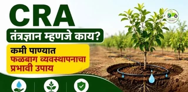 कमी पाण्यातही फळबाग कशी जोमाने वाढते? जाणून घ्या संपूर्ण माहिती
