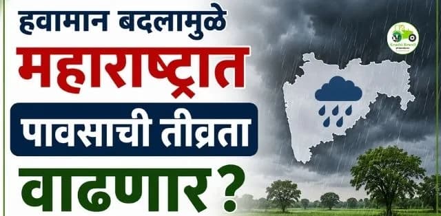 महाराष्ट्रातील पावसाची तीव्रता वाढणार? हवामान विभागाचा महत्त्वाचा अंदाज
