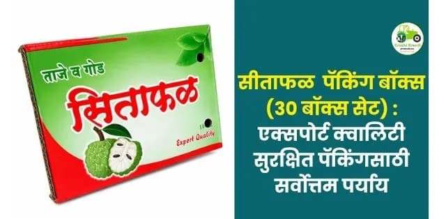 एक्सपोर्ट क्वालिटी सुरक्षित पॅकिंगसाठी सर्वोत्तम पर्याय