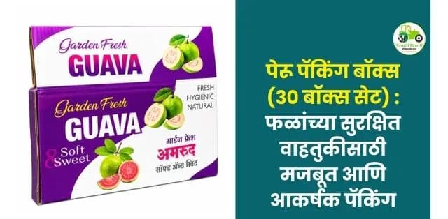 फळांच्या सुरक्षित वाहतुकीसाठी मजबूत आणि आकर्षक पॅकिंग