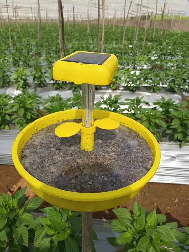 Solar Trap सौर ऊर्जा प्रकाश सापळा