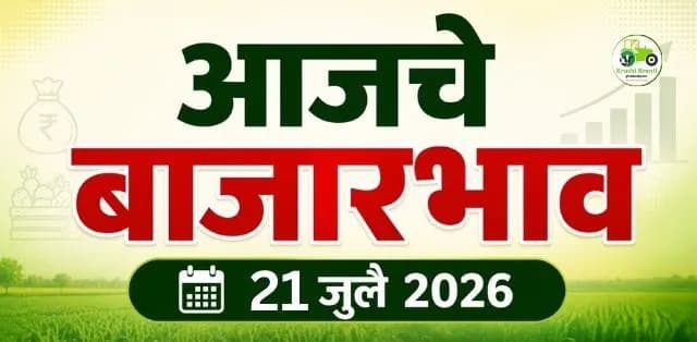 कांद्यात चांगली तेजी, हिरव्या मिरचीचे दर मजबूत; कोथिंबीर, मेथी आणि पालकचे ताजे बाजारभाव